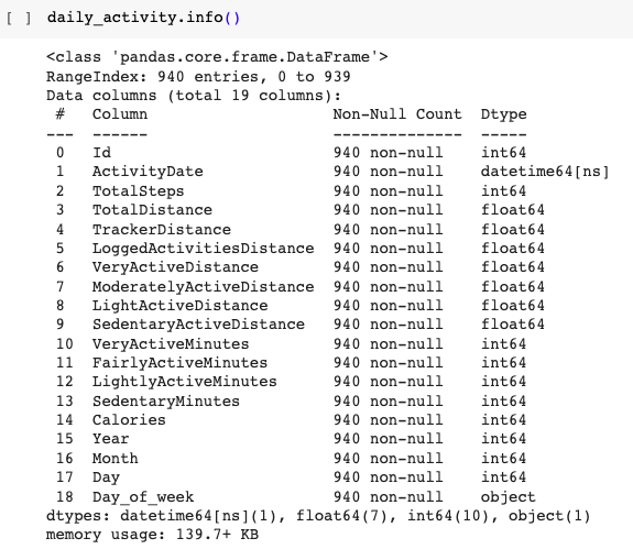 Fig. 2. Screenshot daily_activity.info()