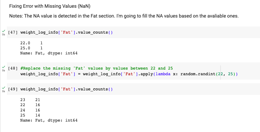 Fig. 12. Screenshot Fill NaN Values